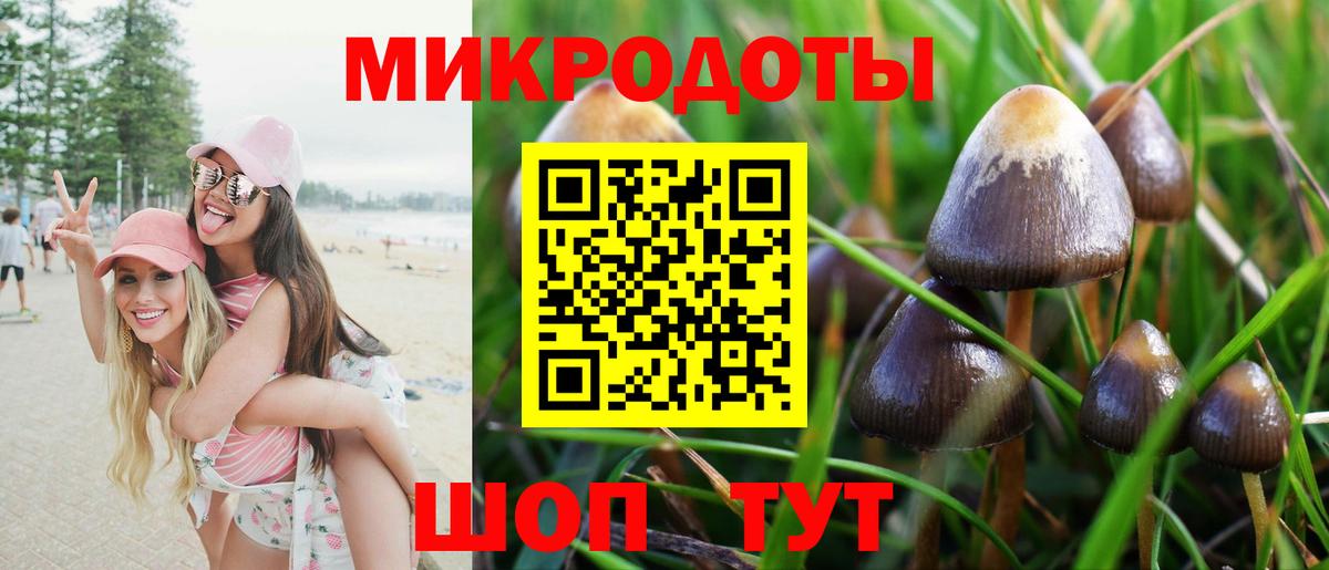 Сосновый Бор  Псилоцибиновые грибы MAGIC MUSHROOMS  Вход с VPN  Псилоцибиновые грибы Cubensis 